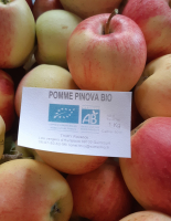 Pomme pinova bio sac de 3 kg