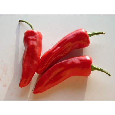 Piments goria (de la ville basque)