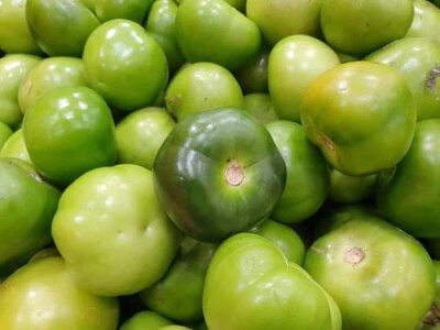 Tomates vertes (pas mûres) pour la confiture