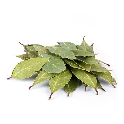 Laurier bio - bocal 15g