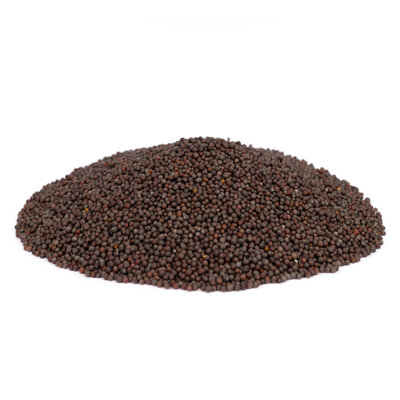 Moutarde noire graines bio - bocal verre