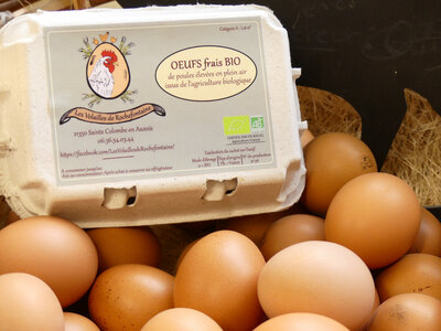 12 oeufs frais bio