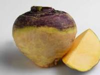 Rutabaga bio