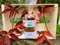 Duo de confiture groseille/pissenlit