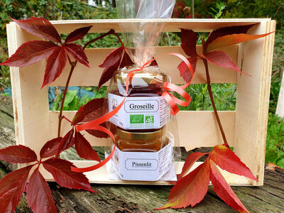 Duo de confiture groseille/pissenlit