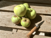 Pommes de la ferme