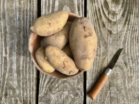 Pommes de terre chair tendre