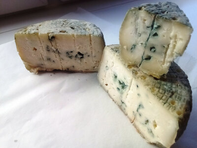 Bleu de chèvre