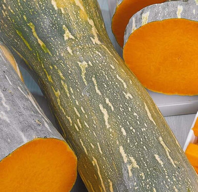 Courge de naples