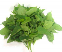 Feuilles de patates douces