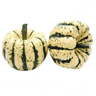 Patidou courge