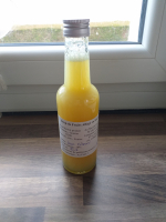 Sirop duo citrons allégé en sucre