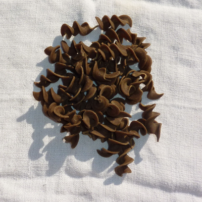 Fusilli cèpe bio