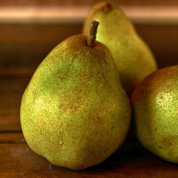 Poire comice bio