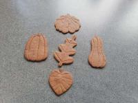 Biscuits d'automne à la caroube