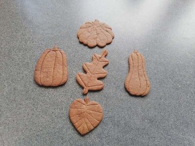 Biscuits d'automne à la caroube
