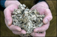 Fientes de poules. fertilisant naturelle