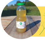 Sirop de fenouil