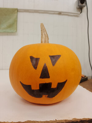 Courge jack o' lantern