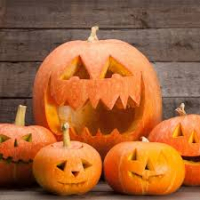 Jack o'lantern spécial halloween.1.6kg-3 kg