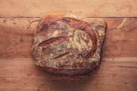 Le saint-roch tradition