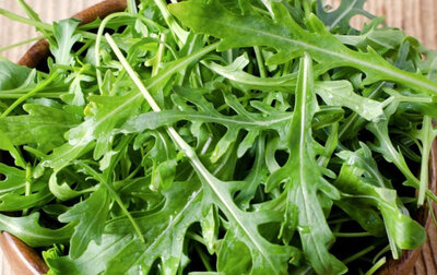 Roquette