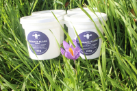 Fromage blanc 4*125g