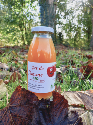 Petite bouteille de jus de pomme bio 25cl