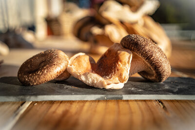 Shiitakes frais bio