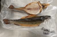Poisson cuit et fumée (saumon de fontaine)