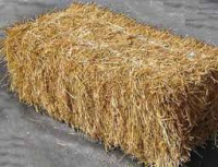 Petite botte de paille
