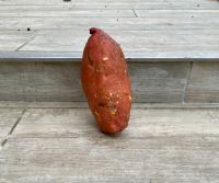 Patates douces environ 1kg