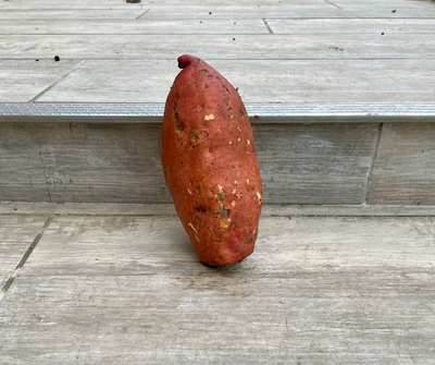 Patates douces environ 1kg