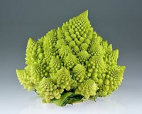 Chou romanesco