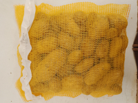 Pomme de terre longue conservation