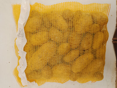 Pomme de terre longue conservation