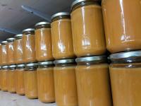 Soupe de potimarron (froide ou chaude)