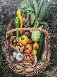 Panier de légumes 26