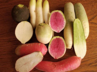 Radis d'hivers mix couleur et saveur