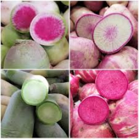 Radis coloré asiatique