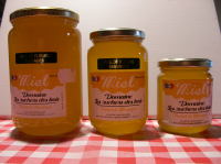 Miel de fleurs sauvages