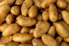 Pomme de terre charlotte