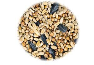 Graines pour boules de graisse oiseaux