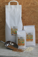 Dlc courte farine de blé t65 bio