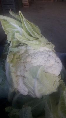 Chou fleur