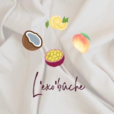 Bûche glacée : l'exotique