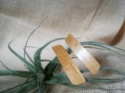 2 barrettes en bois de hêtre clair