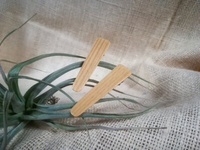 2 barrettes en bois de pin - a pincer