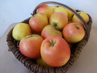 Jubilé 120g/150g cat.1