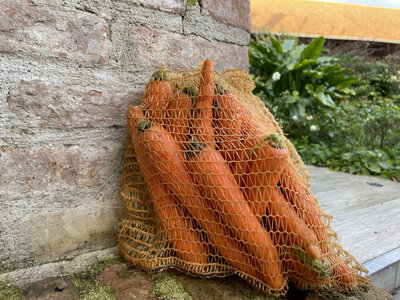 Carottes lavées en filet 3kg